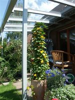 PICT0005 (Small).JPG