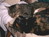 imag0008_1.jpg
