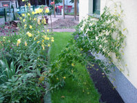 DSC01432k.JPG