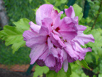 DSC01659k.JPG
