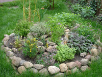 DSC01664k.JPG