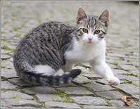 20050819findus1.jpg