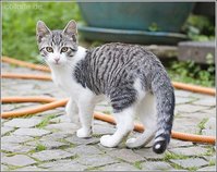 20050819findus2.jpg
