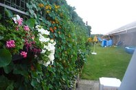 Mix 26.08.07 016.jpg