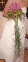 DSC03819.jpg