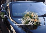 DSC03841.jpg