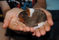 DSC_0360.JPG