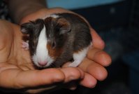 DSC_0361.JPG