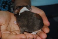 DSC_0362.JPG