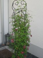 01.07.2010 10-00-53_0002.JPG