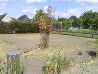 DSC01271.jpg