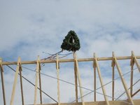 IMG_0445.jpg
