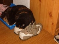 idefix01.jpg