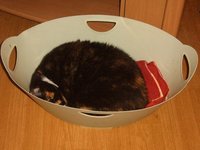 idefix04.jpg