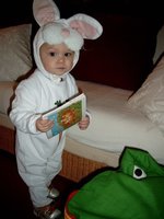 Hase_2.jpg