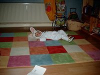 Hase_3.jpg