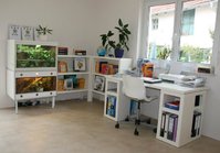 Terrarienzimmer.jpg