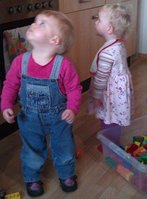 IMAG01761.jpg