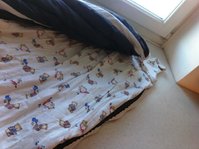 IMG_0374.jpg