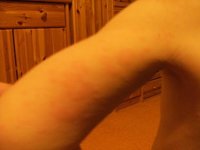 2011_0119Dezember0061.JPG