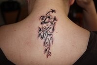 IMG_5695.JPG