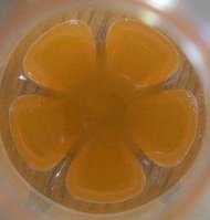 2011_0324Rätsel0010.JPG