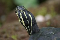 DSC01052SMALL.jpg