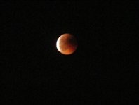 Mondfinsternis 20110615.jpg