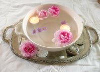 WeißeTerrine4.jpg