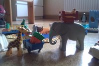 IMAG0198.jpg