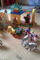 IMAG0202.jpg