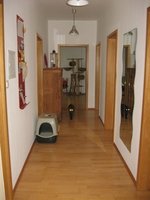 IMG_1617.jpg