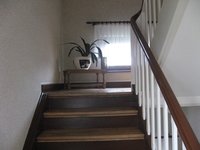 IMG_1634.jpg