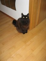 IMG_1658.jpg
