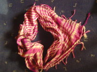 BILD1722.jpg