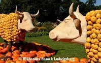 Kuerbis2007_002.jpg Kuerbis2007_002.jpg