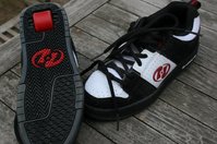 IMG_1249.jpg