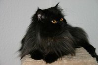 IMG_3696.JPG