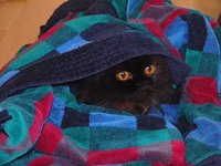 Lucie_1_2.jpg