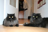 IMG_0148.JPG