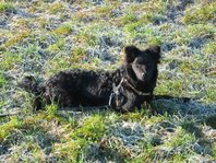 20120115akl.jpg