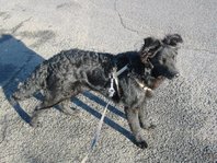 20120115ckl.jpg