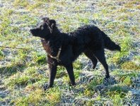 20120115dkl.jpg