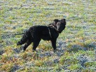 20120115ekl.jpg