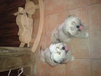 2012-01-15 15.48.39.jpg