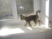 Luna 4.jpg Luna 4.jpg