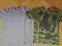 P1020165.jpg