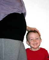 IMG_6941_1.jpg