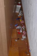 Müll.jpg