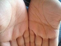 ImageUploadedByTapatalk1340133016.842703.jpg